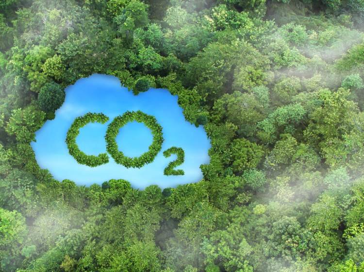 Sustainability Report 2024